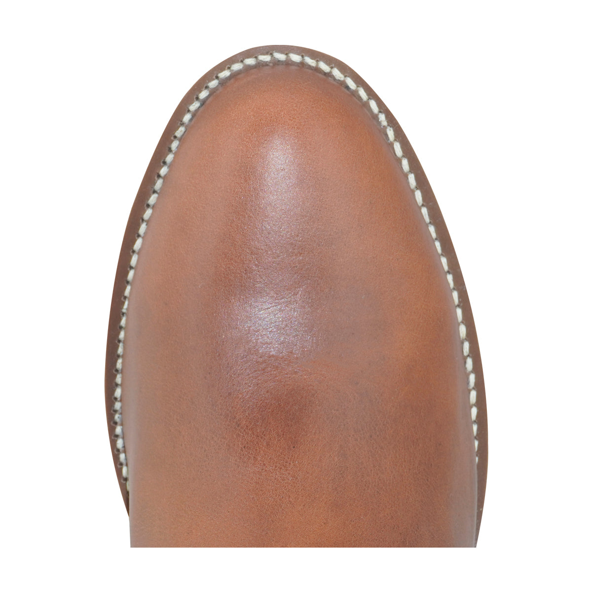 Botin Establo 641 MIEL