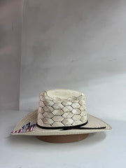 creazy bull panal sinaloa bicolor