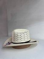 creazy bull panal sinaloa