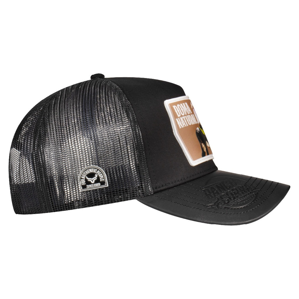 [DA30] Gorra David Alonso 30