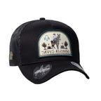 [DA33] Gorra David Alonso 33