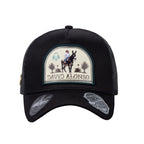 [DA33] Gorra David Alonso 33