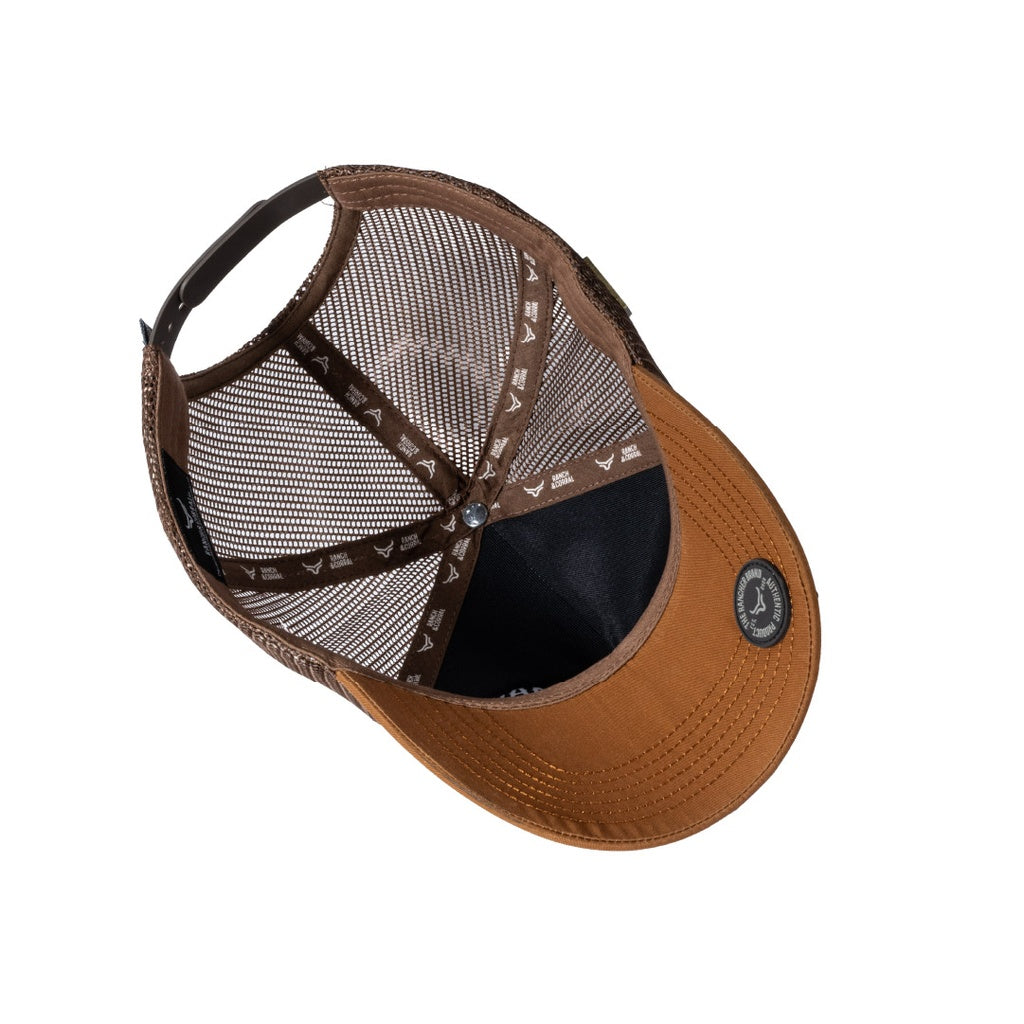 [DA34] Gorra David Alonso 34